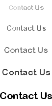[Contact Us]